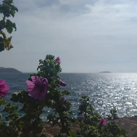 Apartment Nanini Prvic Luka