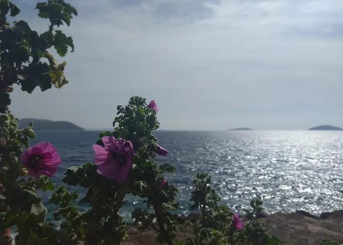 Apartamento Nanini Prvić Luka